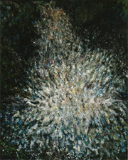 滝(花川戸)