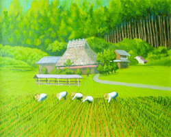 美山町の夏