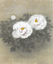 富貴花