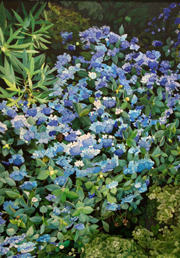 祈り―昇花の群― 工藤 憲一