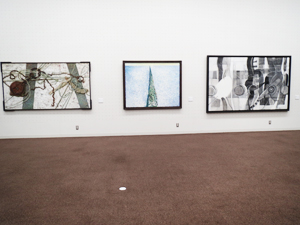 キ美館主催「公募団体ベストセレクション美術2015展」の旺玄会展示場と小島房子委員のアーティストトーク