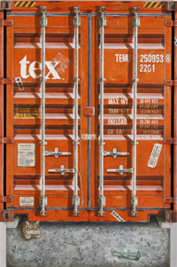 Transporter T